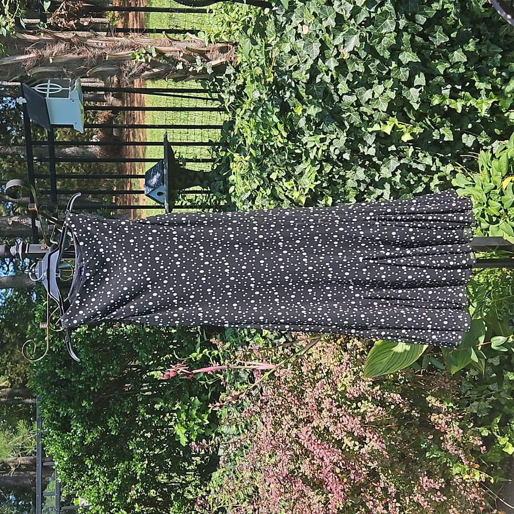 Chaps Black with White Polka Dots Dress
